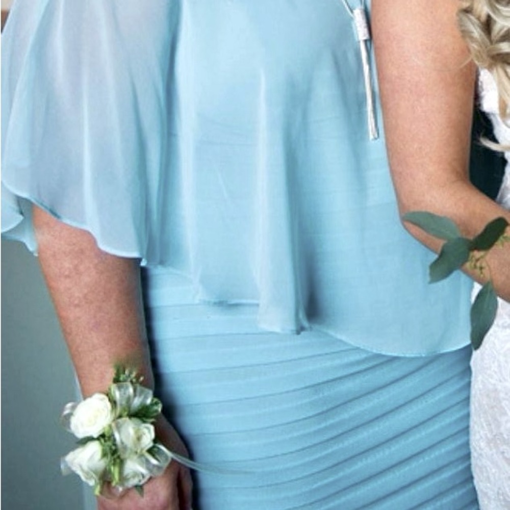 Adrianna Pappell special occasion dress, knee length, size 16W, wore once - Picture 1 of 2